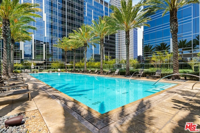 view of pool with a patio area