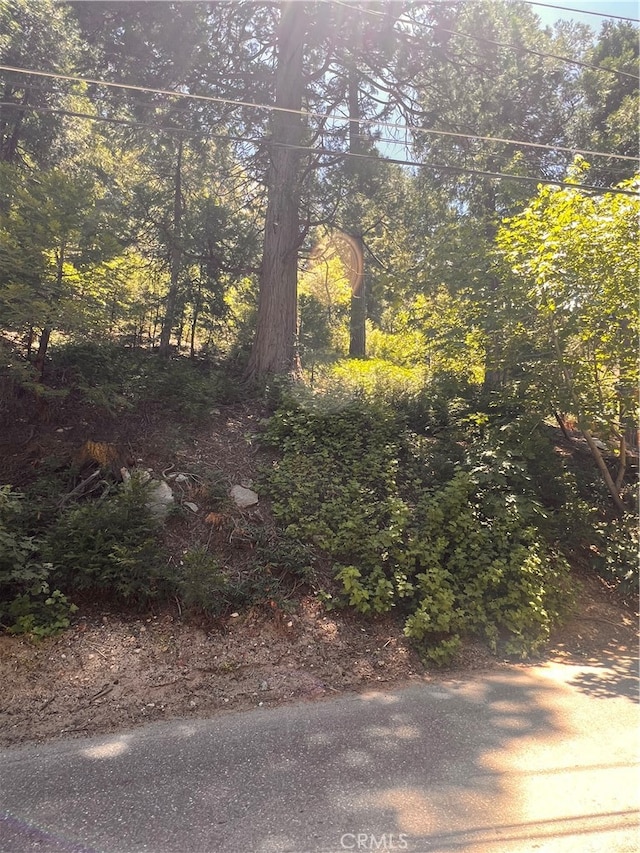 Listing photo 2 for 0 Nesthorn, Crestline CA 92325