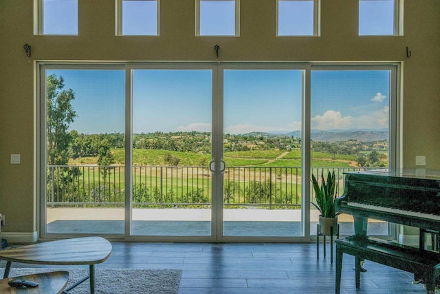 doorway with hardwood / wood-style floors and a wealth of natural light