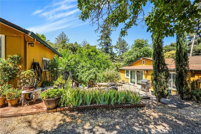 view of yard with a patio