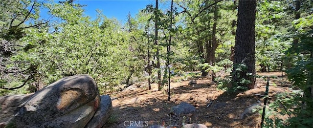 32311 Fern Dr, Running Springs, CA 92382
