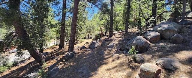 32311 Fern Dr, Running Springs, CA 92382