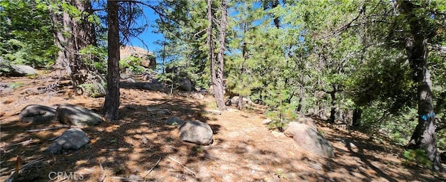 32311 Fern Dr, Running Springs, CA 92382