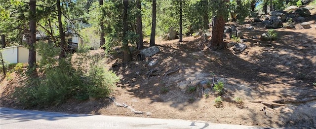 32311 Fern Dr, Running Springs, CA 92382