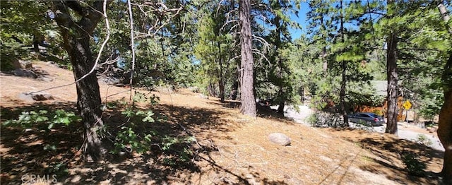 32311 Fern Dr, Running Springs, CA 92382