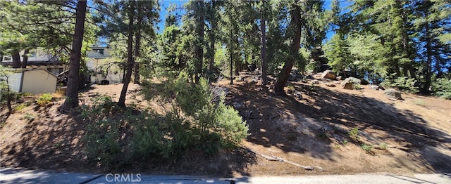 32311 Fern Dr, Running Springs CA, 92382 land for sale