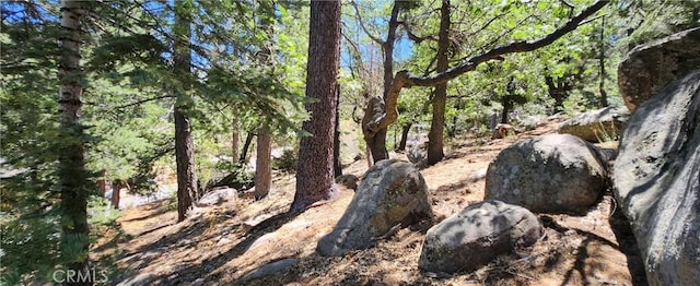 32311 Fern Dr, Running Springs, CA 92382