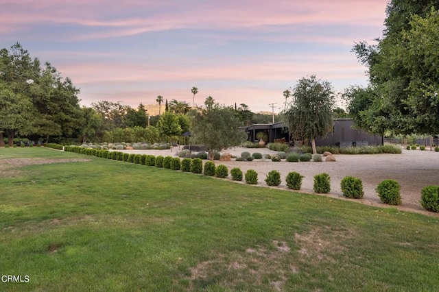 view of yard at dusk