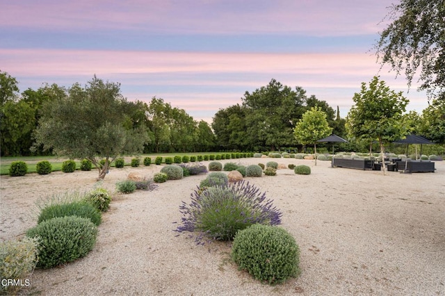 view of yard at dusk