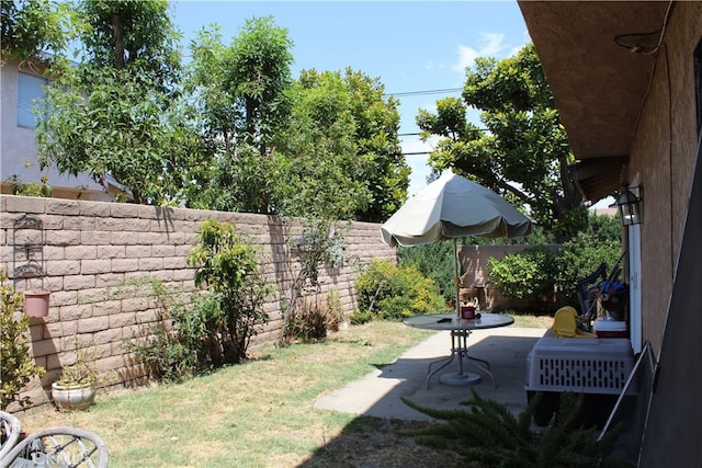 view of yard with a patio