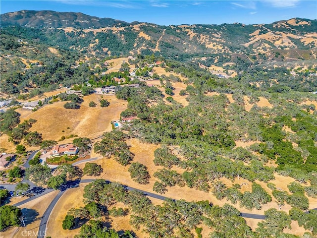 6452 Alta Pradera Ln, Atascadero, CA 93422 - photo 10
