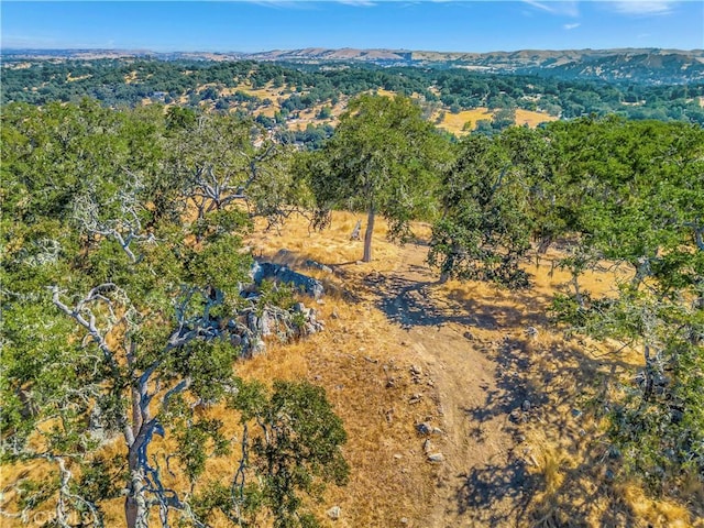 6452 Alta Pradera Ln, Atascadero, CA 93422 - photo 18