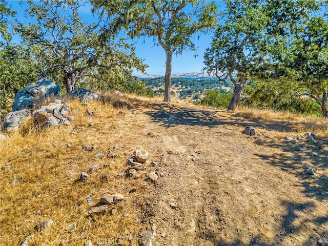 6452 Alta Pradera Ln, Atascadero, CA 93422 - photo 4
