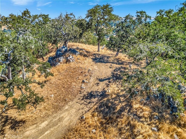 6452 Alta Pradera Ln, Atascadero, CA 93422 - photo 6