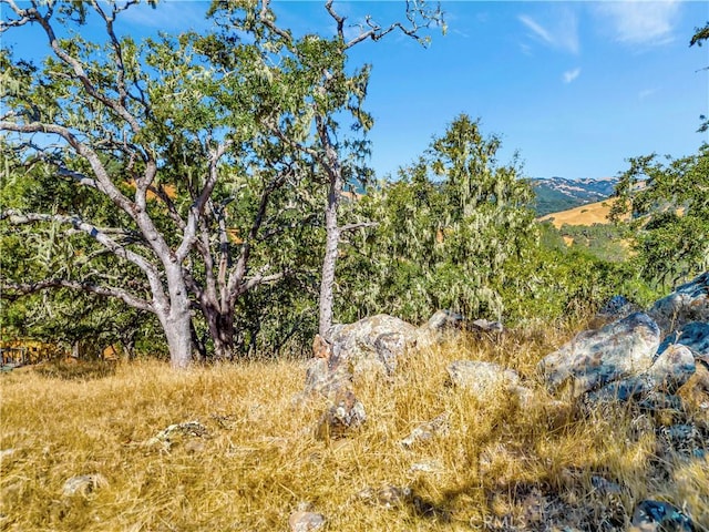 6452 Alta Pradera Ln, Atascadero, CA 93422 - photo 7