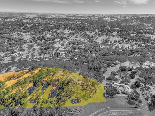 6452 Alta Pradera Ln, Atascadero, CA 93422 - photo 11
