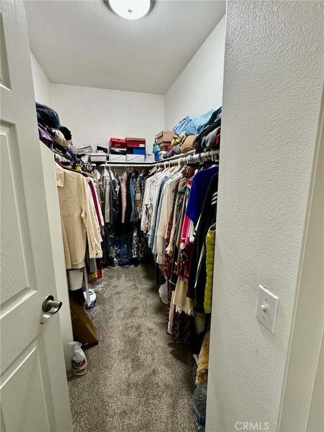 spacious closet featuring carpet floors