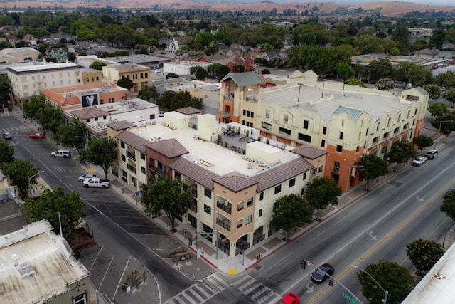 drone / aerial view