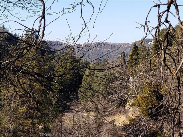 24697 San Moritz Dr, Crestline, CA 92325 - photo 9