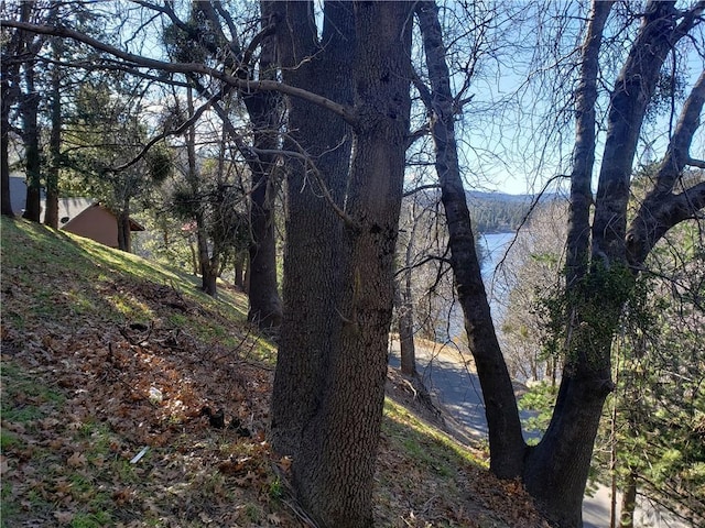 24697 San Moritz Dr, Crestline, CA 92325 - photo 8