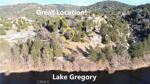 24697 San Moritz Dr, Crestline, CA 92325 - photo 18