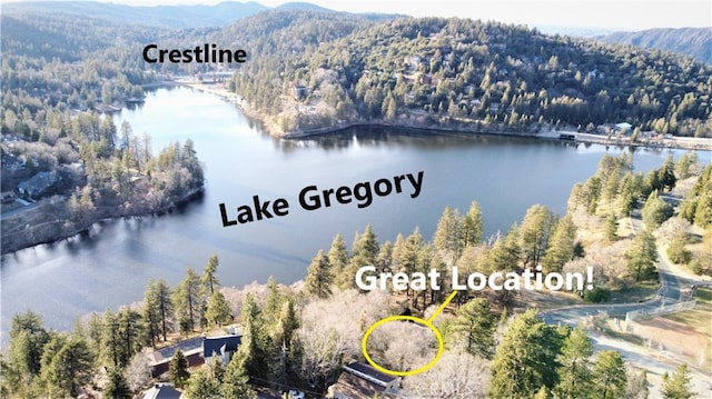24697 San Moritz Dr, Crestline, CA 92325 - photo 2