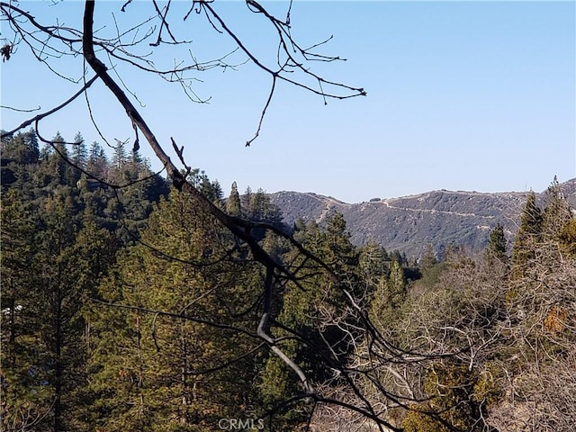 24697 San Moritz Dr, Crestline, CA 92325 - photo 10