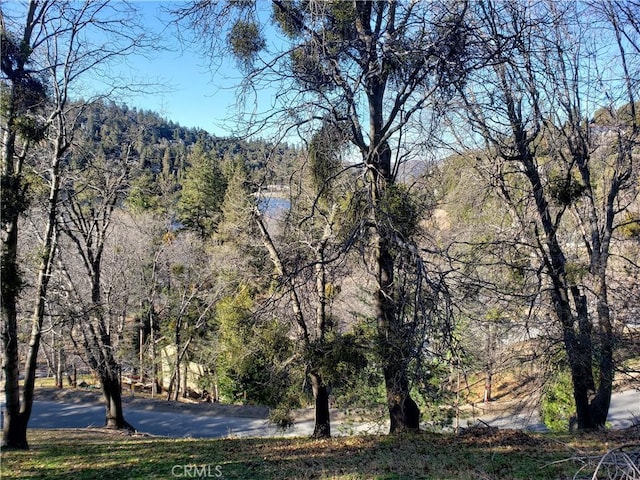 24697 San Moritz Dr, Crestline, CA 92325 - photo 15