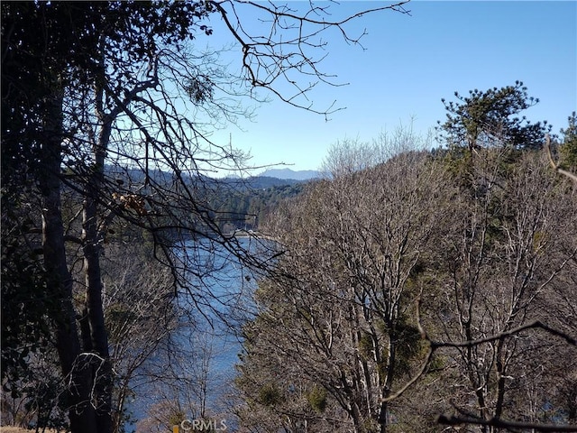 24697 San Moritz Dr, Crestline, CA 92325 - photo 6