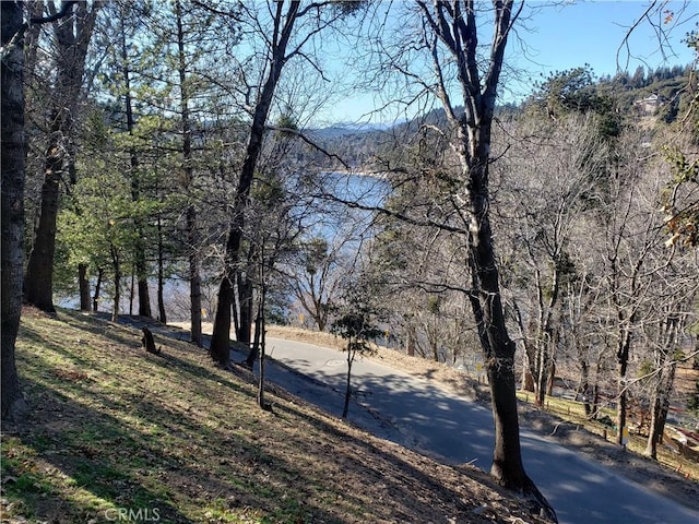 24697 San Moritz Dr, Crestline, CA 92325 - photo 3