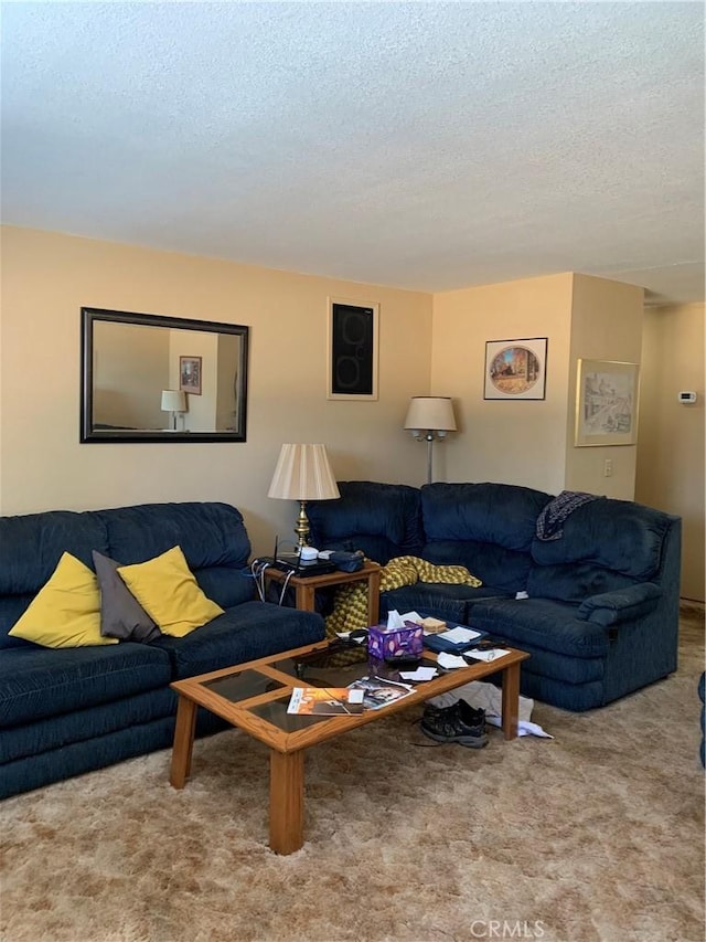 carpeted living room with a textured ceiling