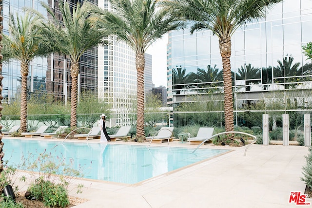 view of swimming pool with a patio