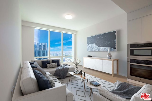 living room with light hardwood / wood-style flooring