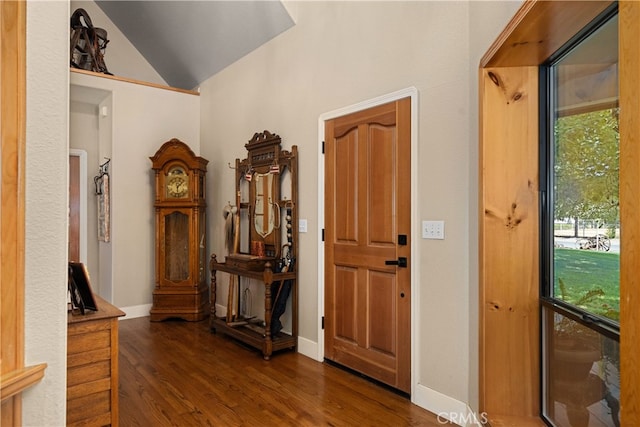 foyer entrance with lofted ceiling, dark hardwood / wood-style floors, and a healthy amount of sunlight