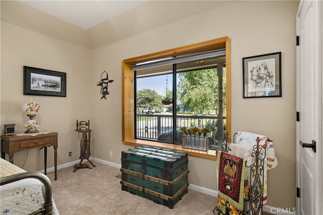 bedroom featuring light carpet and access to outside