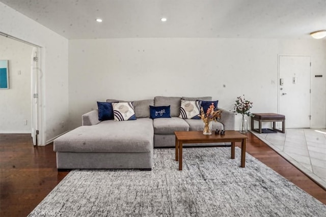 living room featuring wood-type flooring