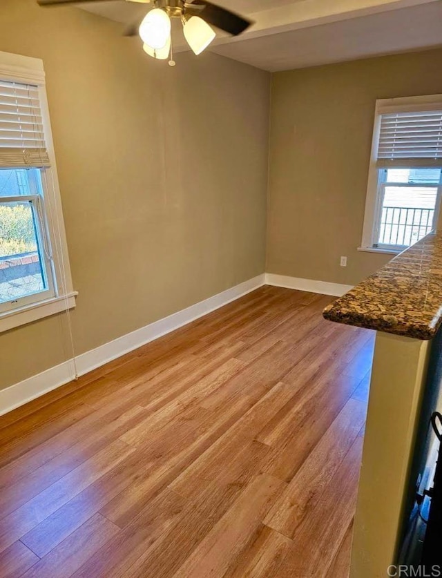 spare room with a healthy amount of sunlight, ceiling fan, and light hardwood / wood-style flooring