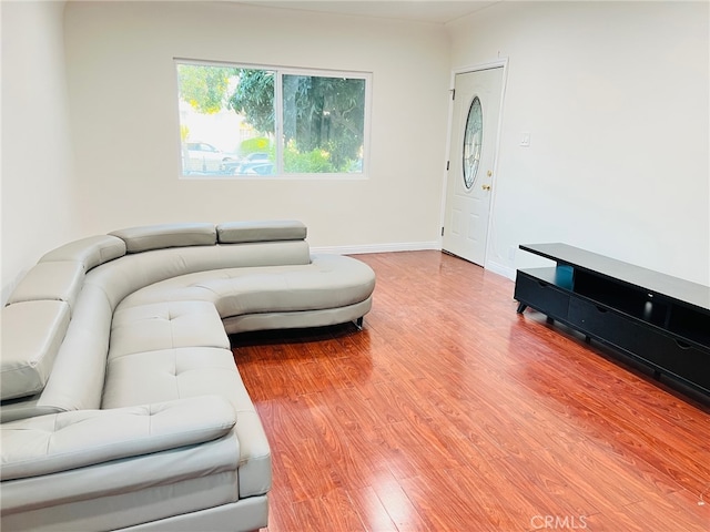 living room featuring hardwood / wood-style floors