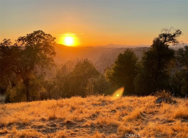 nature at dusk with a mountain view