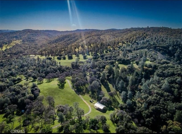 birds eye view of property featuring a mountain view