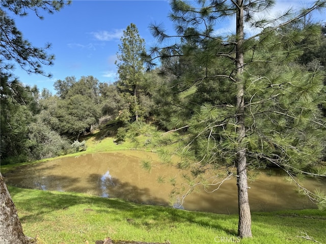 view of local wilderness featuring a water view