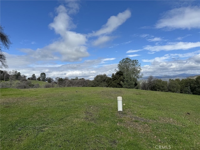 view of yard with a rural view