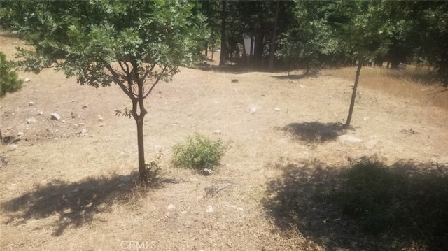 31533 Circle View Dr, Running Springs CA, 92382 land for sale