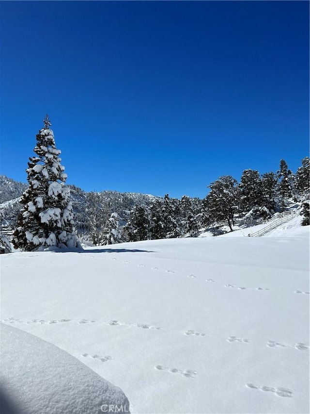 view of yard covered in snow