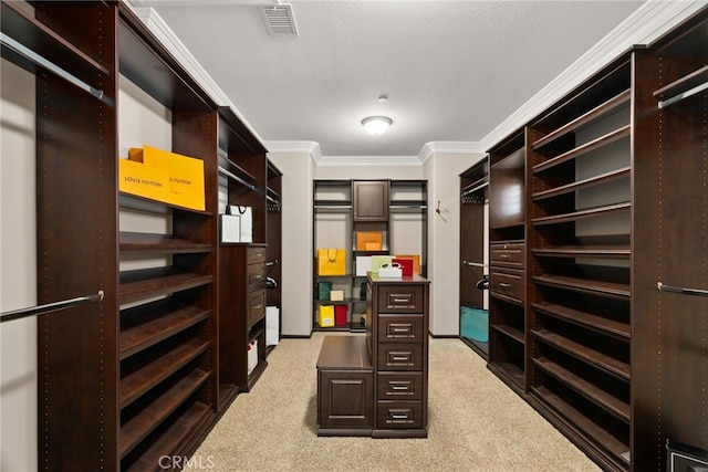 walk in closet with light carpet