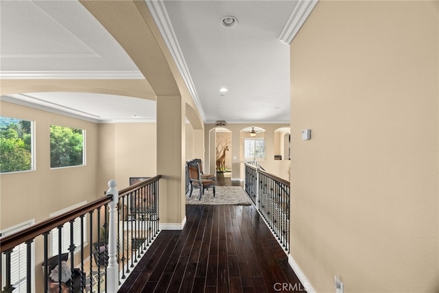 corridor with ornamental molding, hardwood / wood-style flooring, and plenty of natural light