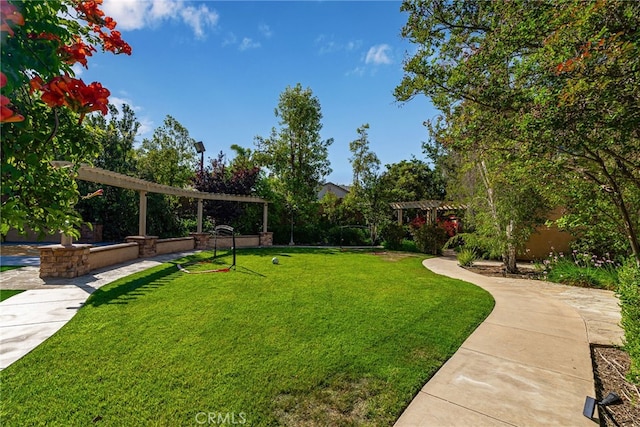 view of yard featuring a pergola