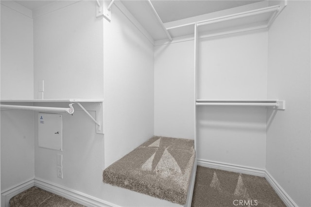 walk in closet featuring carpet flooring