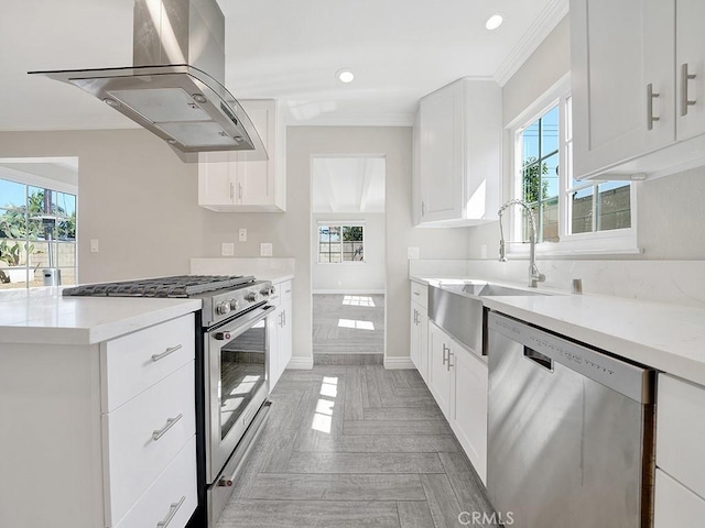 kitchen with white cabinets, island exhaust hood, stainless steel appliances, light countertops, and a sink