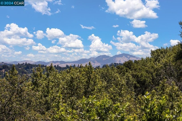 view of mountain feature